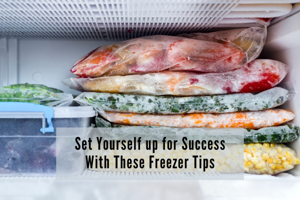 Healthy ingredients and meals stored in the freezer