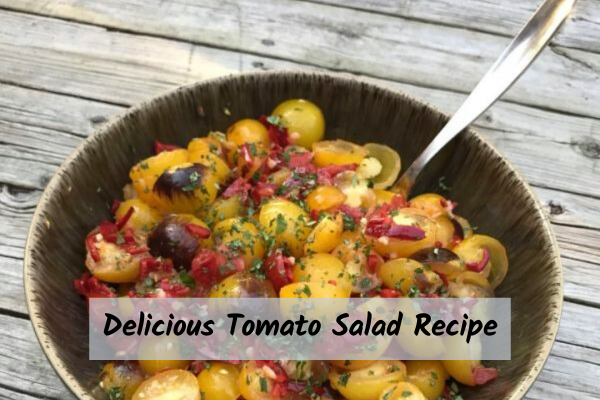Tomato Salad Recipe a person holding a bowl of tomato salad with herbs