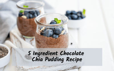 two glass containers filled with chocolate chia pudding with blueberries on top