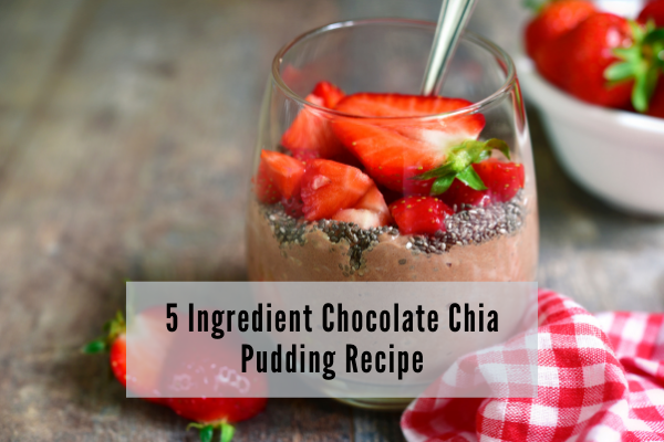 Healthy Chocolate Chia Pudding Recipe