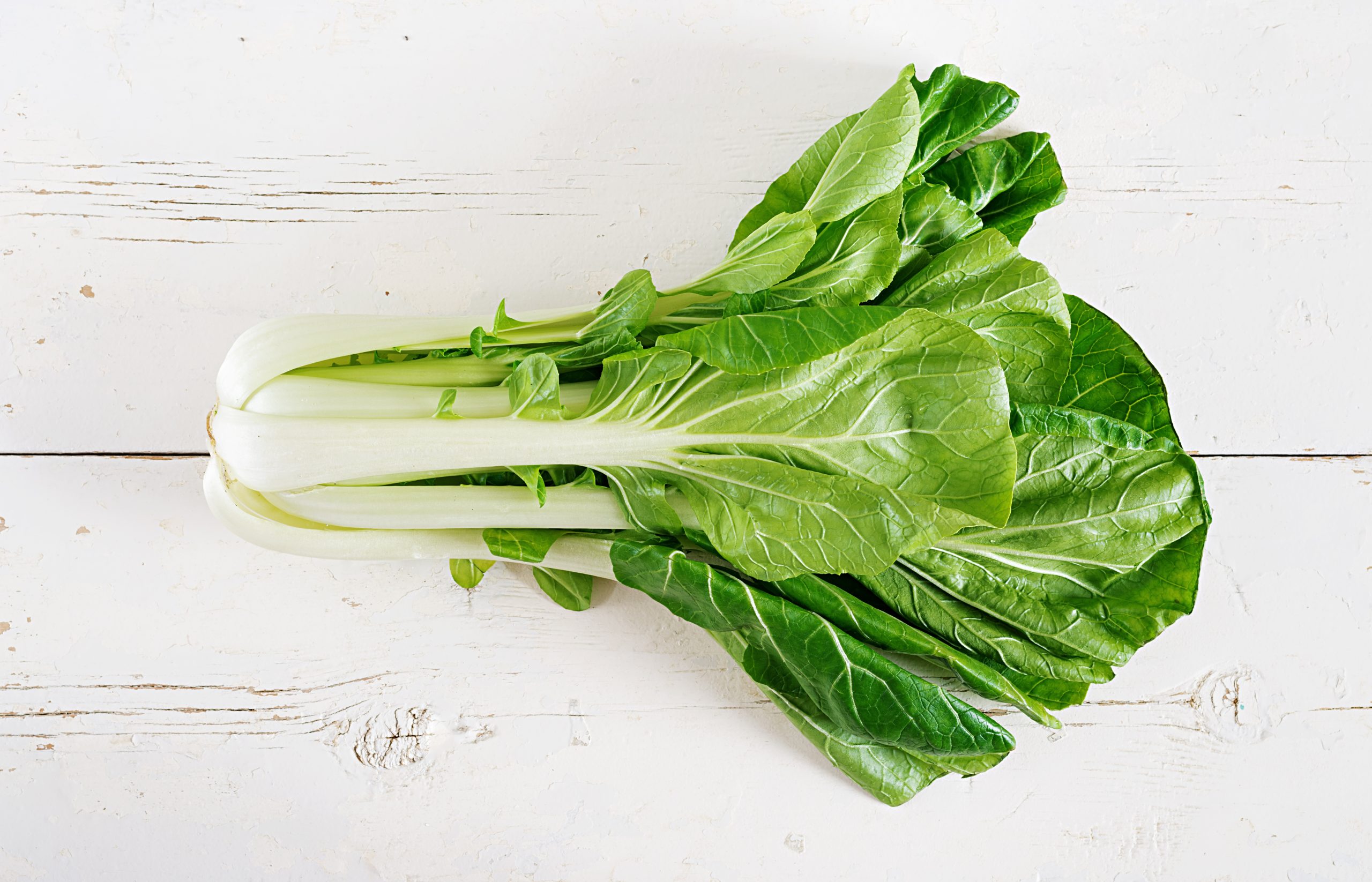 Bok choy or Chinese-cabbage on white wooden table. Pak choi. Top view cheap vegetable bok choy on a white panel
