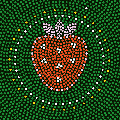 Strawberry - Indigenous Meaning