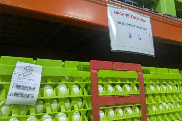 egg crates at a Canadian farm