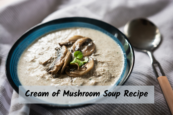Bowl of cream of mushroom soup
