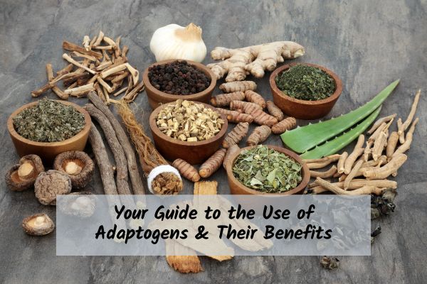 a variety of adaptogens displayed on a table