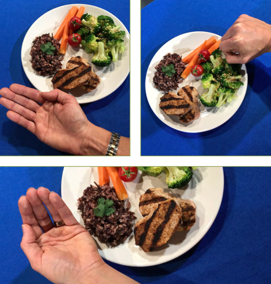 balanced plate method